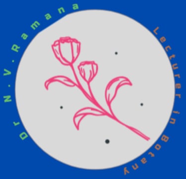 drnvr logo