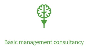 IT Consultant logo