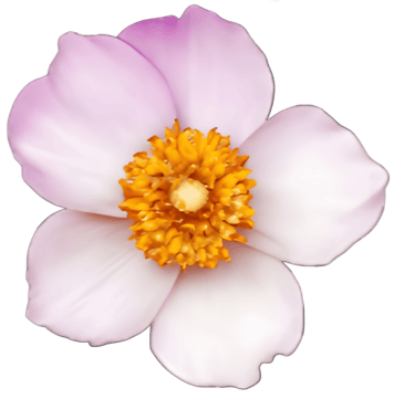 Girl Reconstructed logo