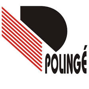 https://polinge.lt/ logo