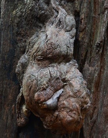 Andreas Struves Buchstabenchaos logo