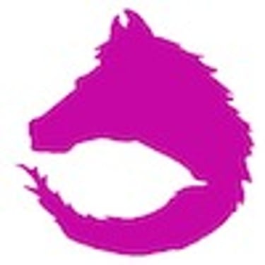 Sacred Equestrians logo