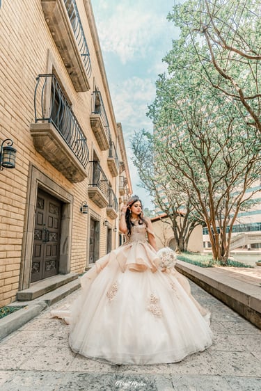light and airy quince irving las colinas fotos