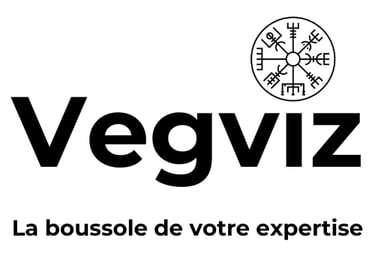 Vegviz logo