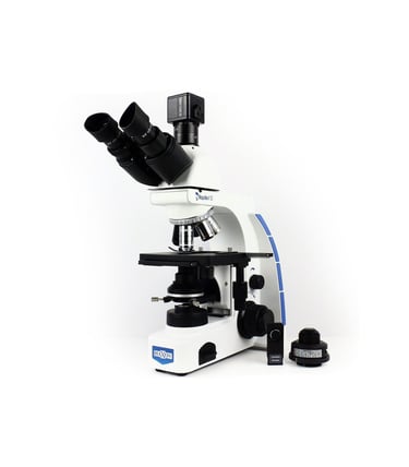 Aleti Institute logo