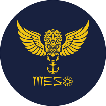 MESO GROUP logo
