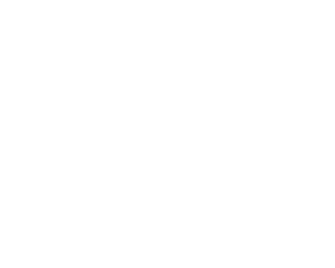 FLY GUIDE TRAVEL & TOURISM logo