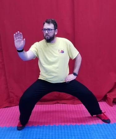 Instructor in Chen Tai Chi posture Lan Zha Yi