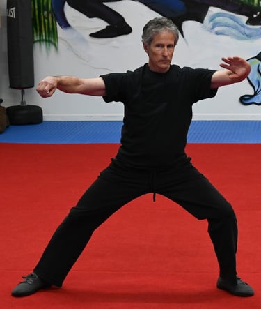 Bob working on Chen Taijiquan (Tai Chi) form, Single Whip or Dan Bian.