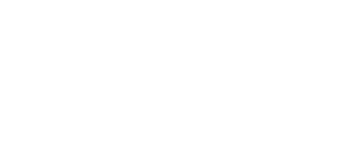 Fiesta Digital  logo