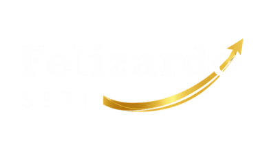 Felizardo SETI logo