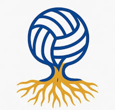 Roots Volleyball Academy logo