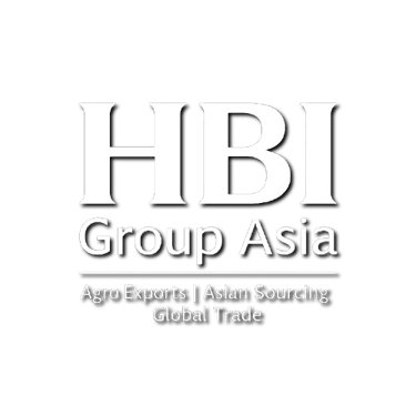 HBI GROUP ASIA logo