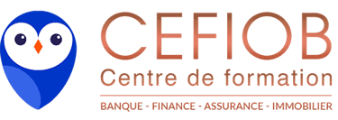 CEFIOB logo