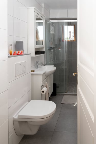 intérieur d'une salle de bain à l'espace réduit mais fonctionnelle