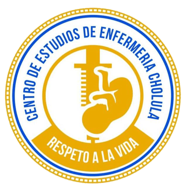 Centro de Estudios de Enfermería logo