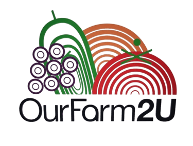 Geelong Fruit And Veg logo