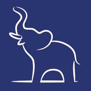 Elephant Corner Financial logo