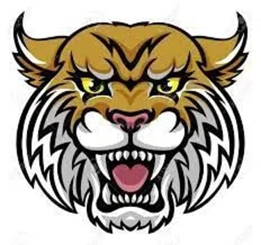 Diablo View Middle School PE  logo