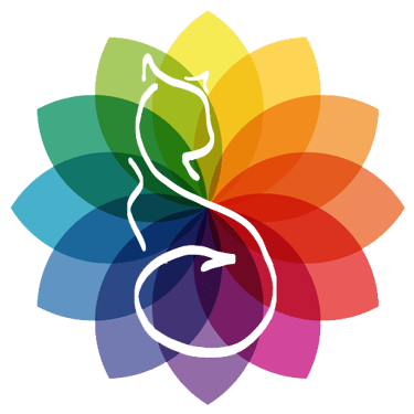 Black Cat & Co. logo