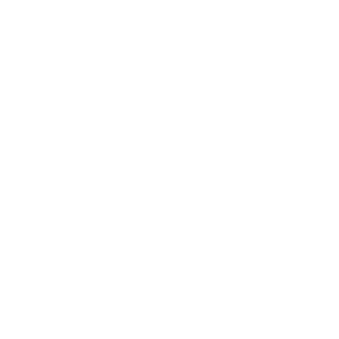 TRANSCAR logo