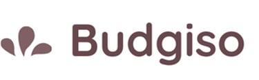 Budgiso logo