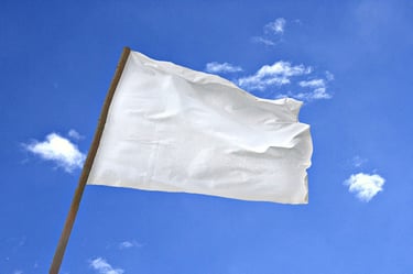 Friedensaktionen bündeln und abstimmen! Frieden schaffen ohne Waffen. Diplomaten statt Granaten! logo