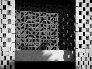 Screen Detail at AUB Olayan School of Business Beirut Lebanon University by Machado Silvetti 1