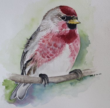 Watercolor of a ruby throat bird