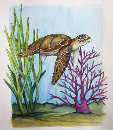 Watercolor of a sea turtle