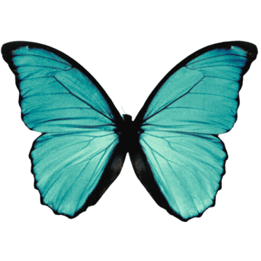 Discovering Myself logo