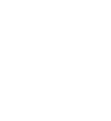 Flávio logo