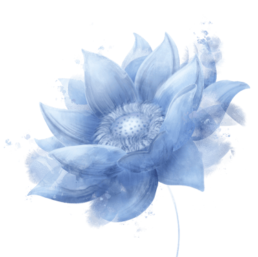 Kay Norde | Autrice - Graphiste - Illustratrice logo