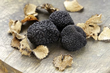 Les truffes noires du Tricastin sont très appréciées dans le monde. On en trouve près du mas de l'Enclos du Soleil le Vent
