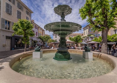 Saint-Paul-Trois-Chateaux dispose de 2 places et petites rue authentiques