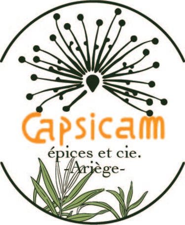 Capsicam logo