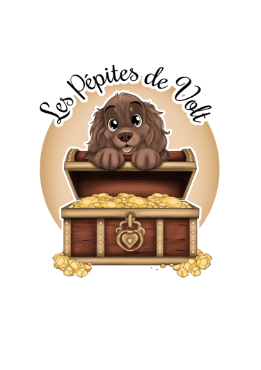 Les Pépites de Volt logo