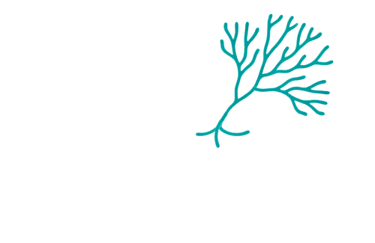 North East homes logo