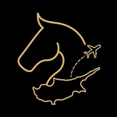 Pegasus Visit logo