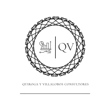 Quiroga y Villalobos Consultores logo