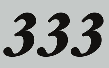 333 Street Photography logo