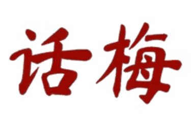 Salty Plum Social logo