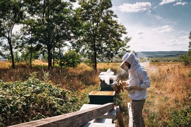 Imker Simon Tötschinger mit Smoker beim Bienenstock