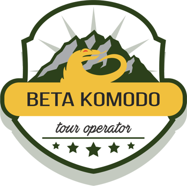beta komodo logo