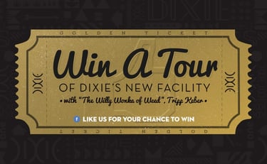 Digital Marketing Campaign for Dixie Elixirs - Frankly Communications