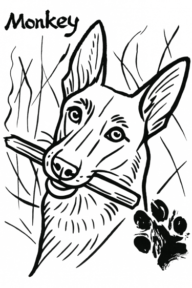 Omar's Dog Stuff logo