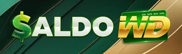 saldowdwin.com logo