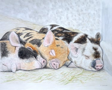 Three Little Pigs painting in watercolours by Mandy Garratt
