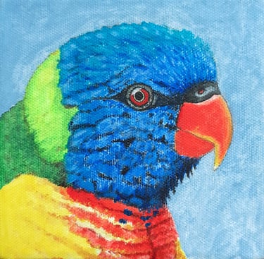 Rainbow Lorikeet in acrylics by Mandy Garratt