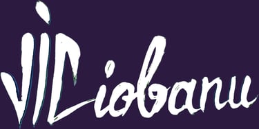 Vali Irina Ciobanu logo